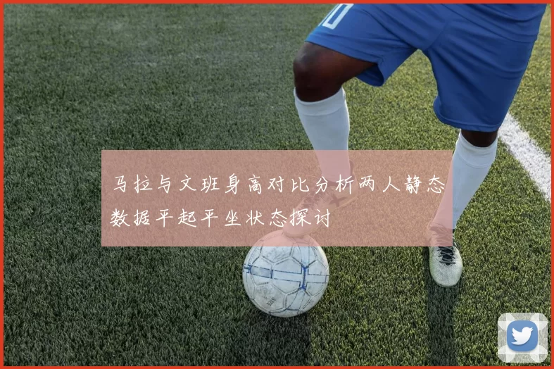 马拉与文班身高对比分析两人静态数据平起平坐状态探讨